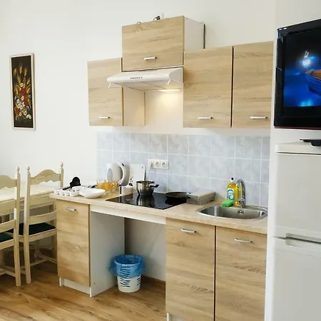 City Center Rent With Free Parking N41 아파트 *